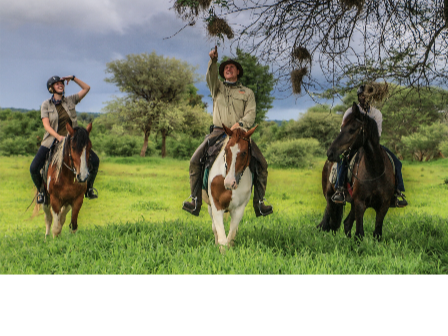 Horse and Hippo Safari